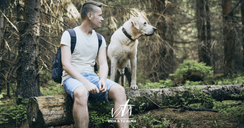 Los ANHELOS del CORAZÓN son los SUEÑOS