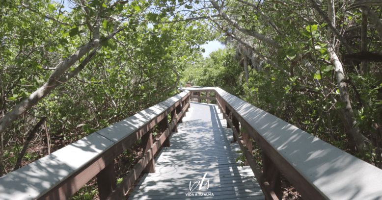 Cómo Saber por cuál CAMINO andar