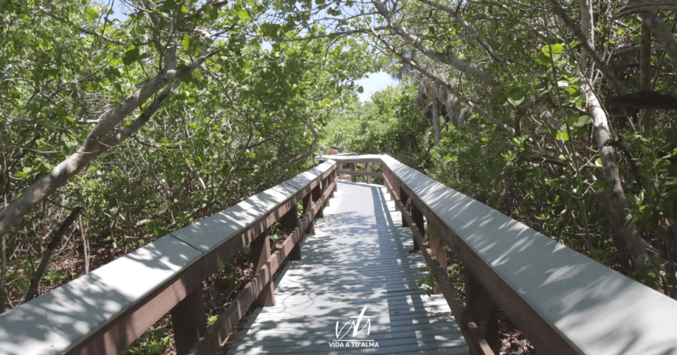 Cómo Saber por cuál CAMINO andar