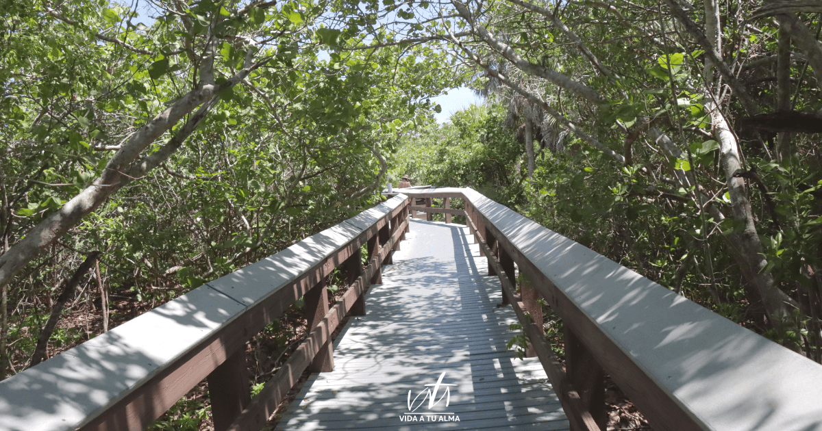 Cómo Saber por cuál CAMINO andar