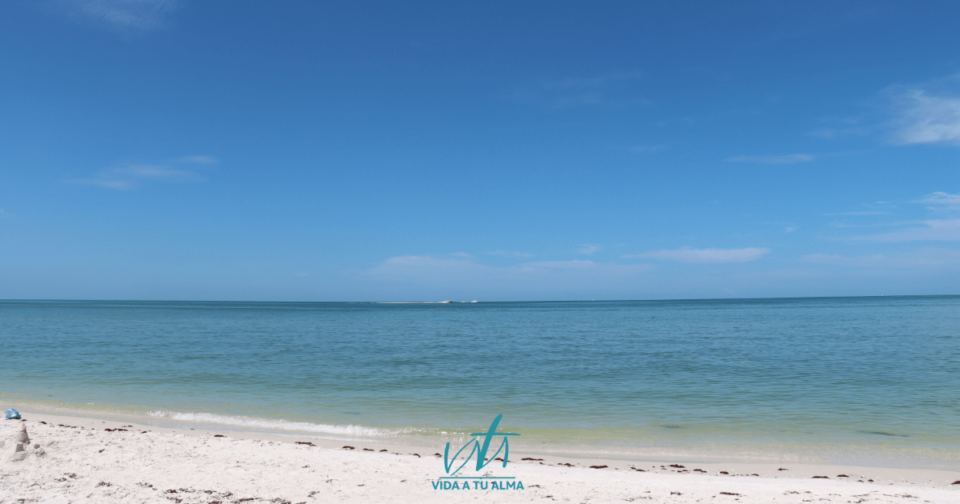 Cómo ver la GLORIA de DIOS.