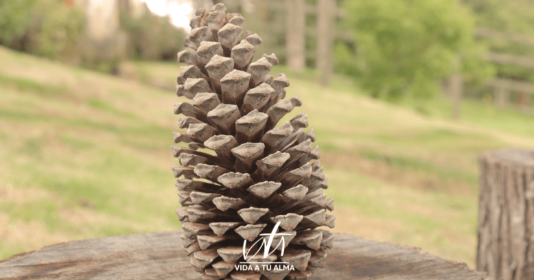 Encomienda a DIOS tu Camino