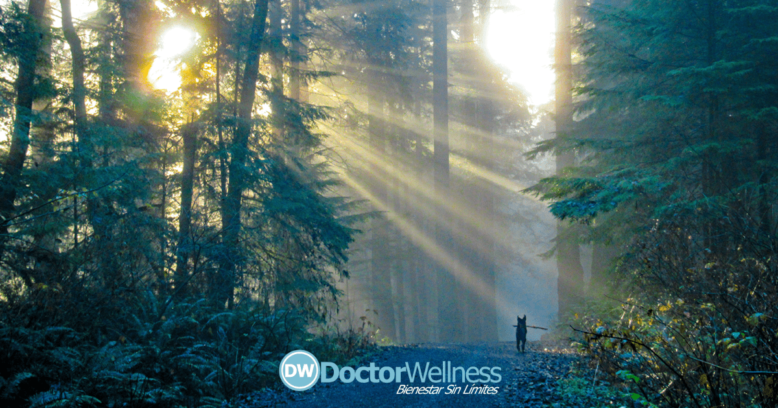 La RESTAURACIÓN Verdadera es de DIOS