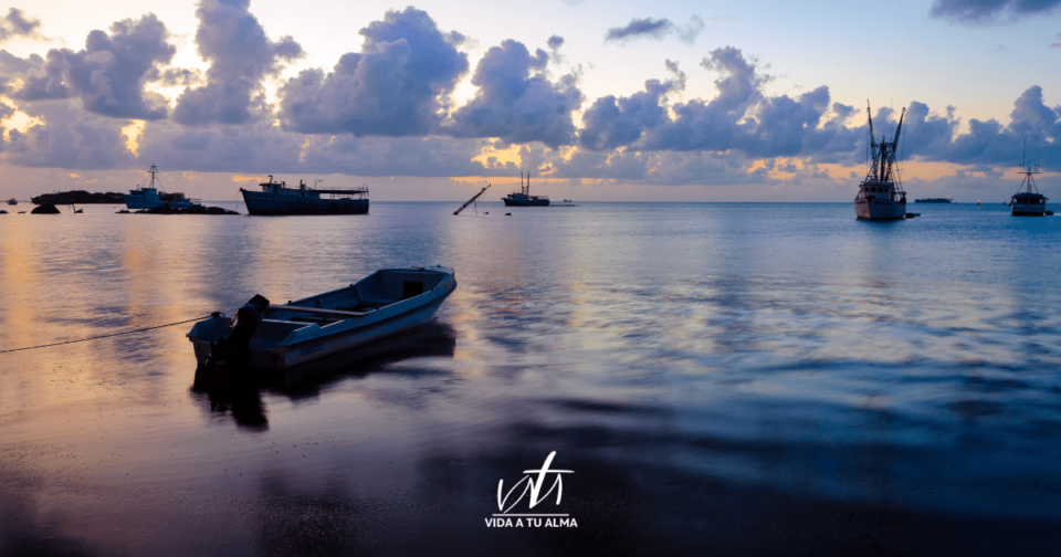Un Evangelista llamado Andrés